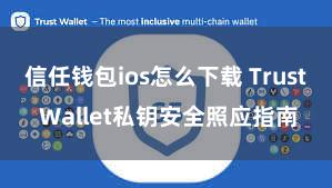 信任钱包ios怎么下载 Trust Wallet私钥安全照应指南