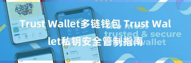 Trust Wallet多链钱包 Trust Wallet私钥安全管制指南