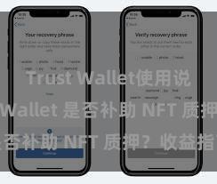 Trust Wallet使用说明 Trust Wallet 是否补助 NFT 质押？收益指南