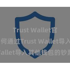 Trust Wallet官方指南 如何通过Trust Wallet导入其他钱包的钞票？