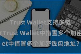 Trust Wallet支持多链下载 如安在Trust Wallet中措置多个加密钱包地址？